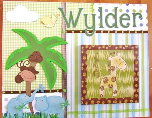 Jungle Baby Shadow Box