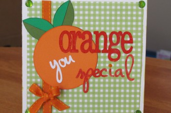 Florida Orange Card