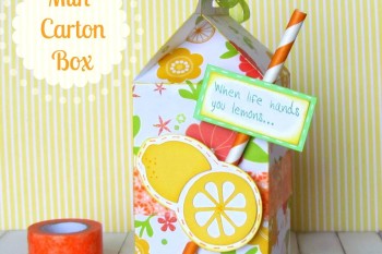Milk Carton Treat Box made with @silhouettepins. Perfect Summertime Gift!