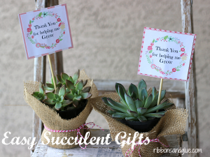 Easy Succulent Gift Idea with Printable